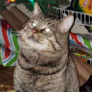 Meet your Posher, Alec